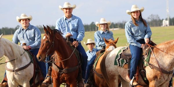 group on horses